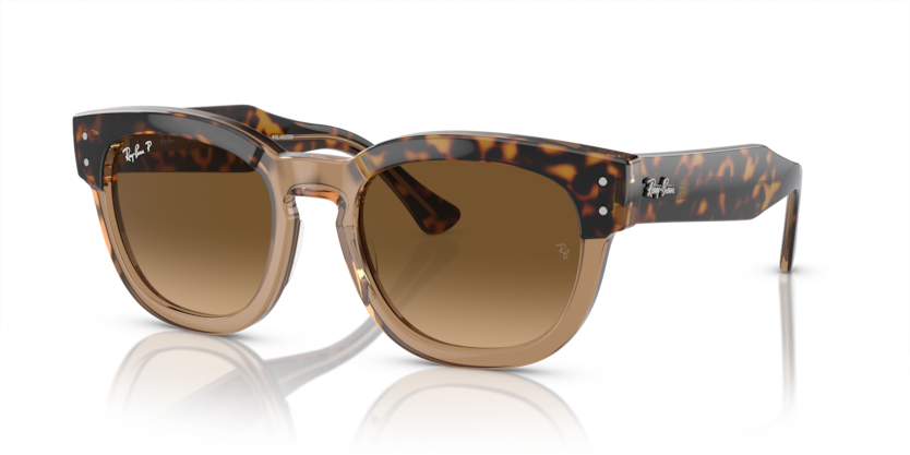 Ray-Ban - Mega Hawkeye - Havana On Transparent Brown/Brown Polarized - 53