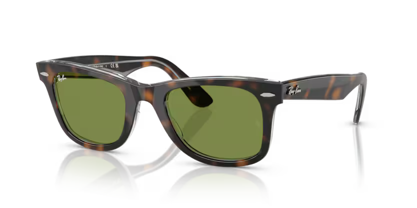 Ray-Ban - Wayfarer - Dark Havana on Multicolour/Green