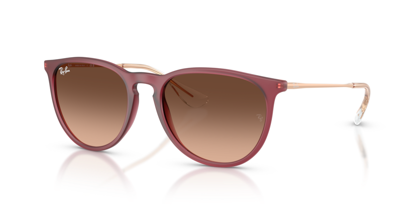 Ray-Ban - Erika - Rubber Violet/Pink Gradient Brown