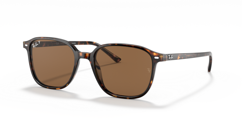 Ray-Ban - Leonard - Tortoise/B-15 Brown