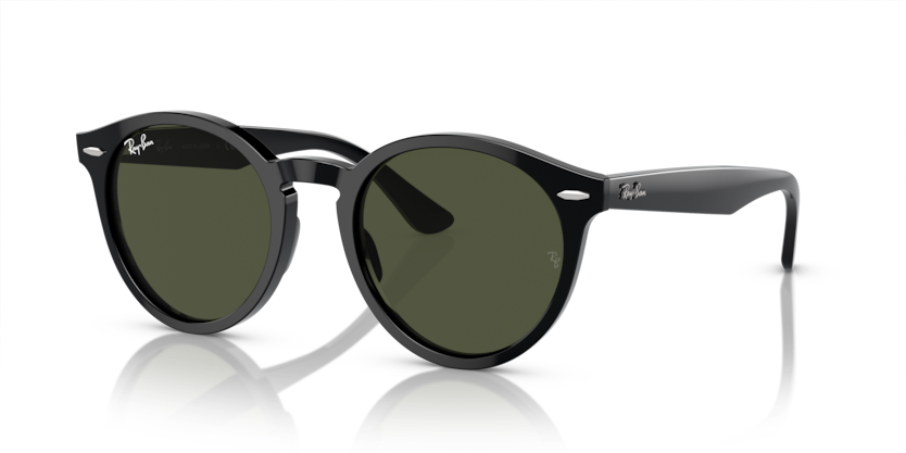 Ray-Ban - Larry - Black/Green - 49