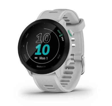 Garmin Forerunner 55 - Whitestone