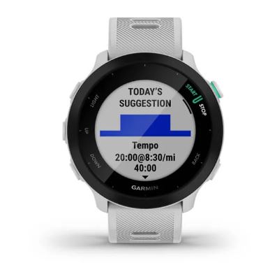 Garmin Forerunner 55 - Whitestone