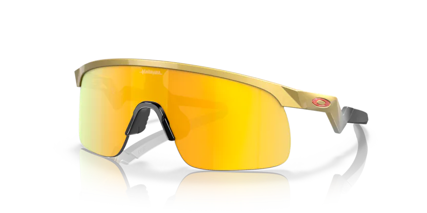 Oakley - Resistor - Olympic Gold/Prizm 24K